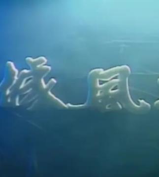 龙城风云1990(1990)海报