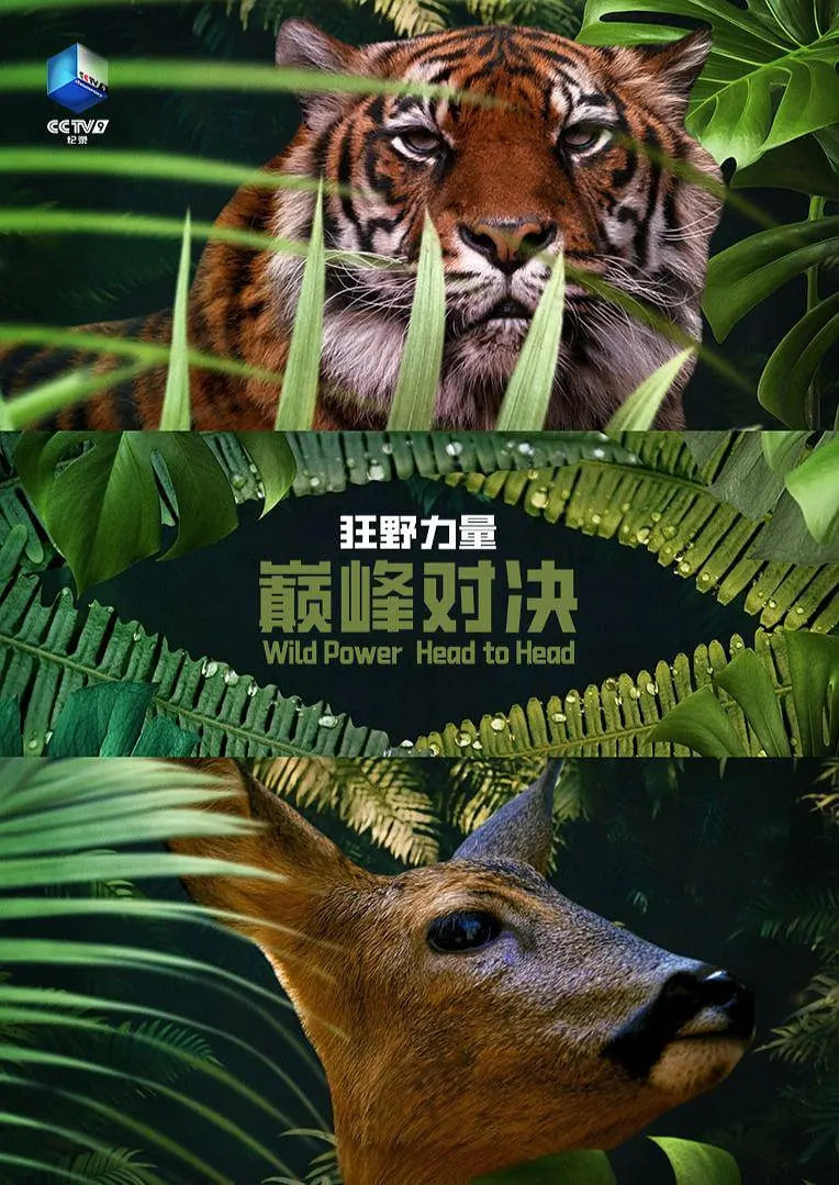 狂野的力量：巅峰对决 第一季(2026)海报