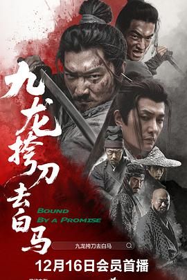 九龙挎刀去白马(2028)海报