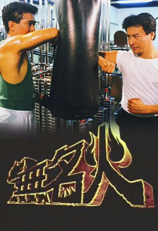 无名火粤语(1988)海报