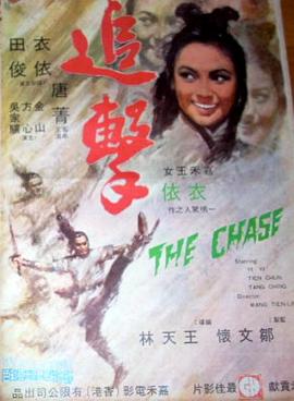 追击1971(1971)海报