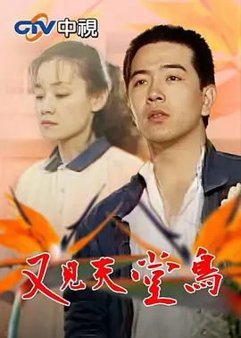 又见天堂鸟(1990)海报