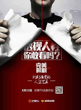 完美假期(2015)海报