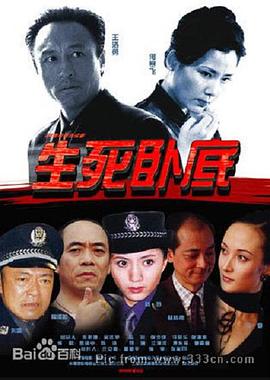 生死卧底(2004)海报