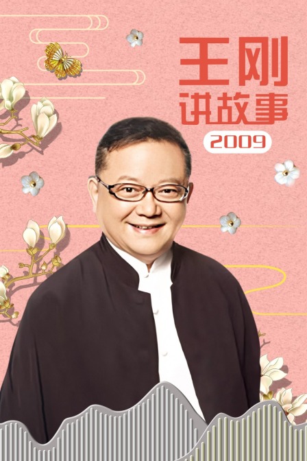 王刚讲故事2009(2010)海报