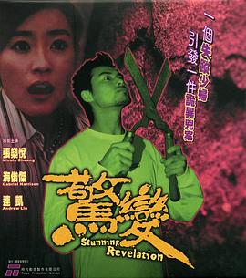 惊变2004(2004)海报