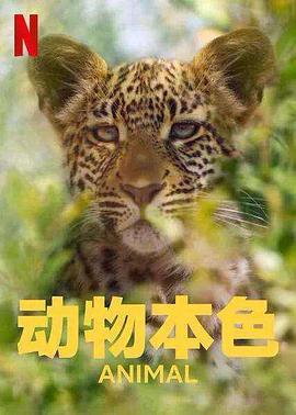 动物本色第二季(2022)海报