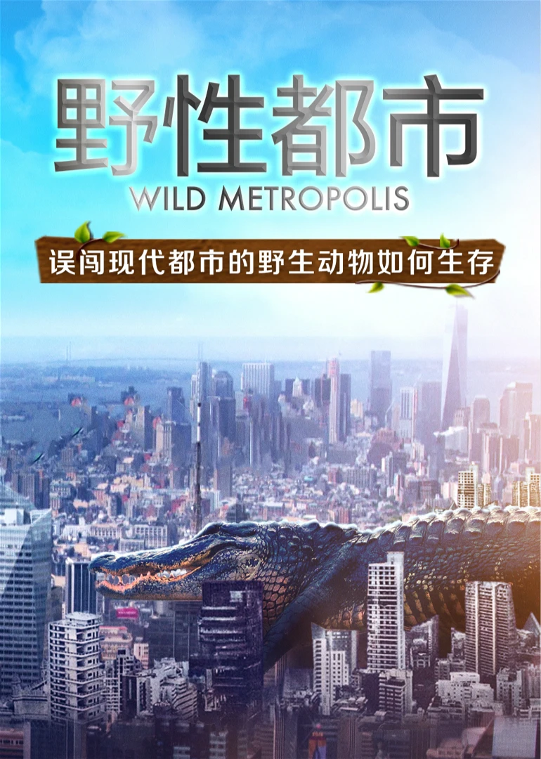 野性都市英语(2018)海报