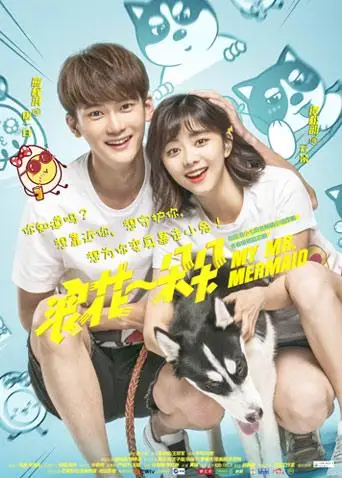浪花一朵朵DVD版(2017)海报