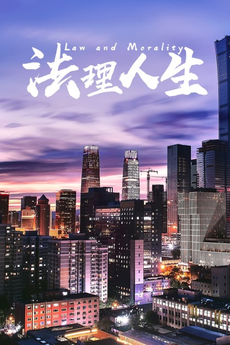 法理人生(2014)海报