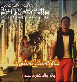 肖开提的假期(2011)海报