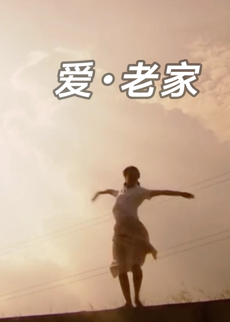 爱老家(2006)海报