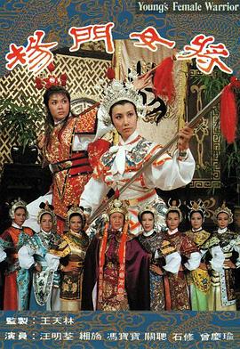 杨门女将粤语(1981)海报