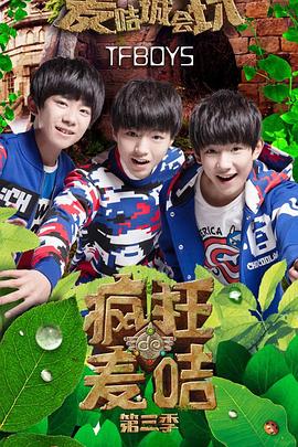 疯狂的麦咭第三季(2015)海报