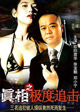 真相之极度追击(1993)海报