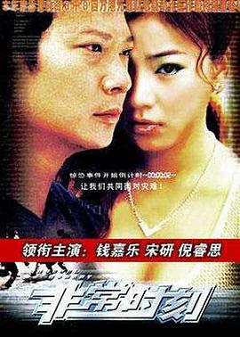 终极追缉令(2006)海报