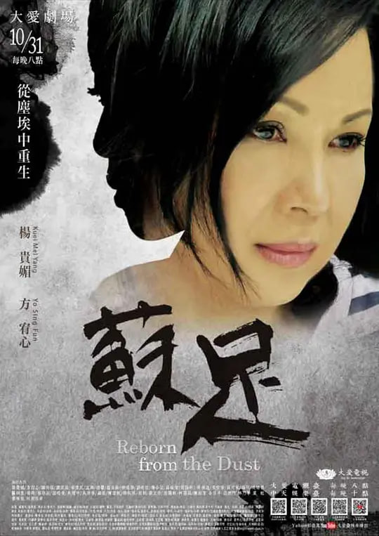 苏足 2016(2016)海报