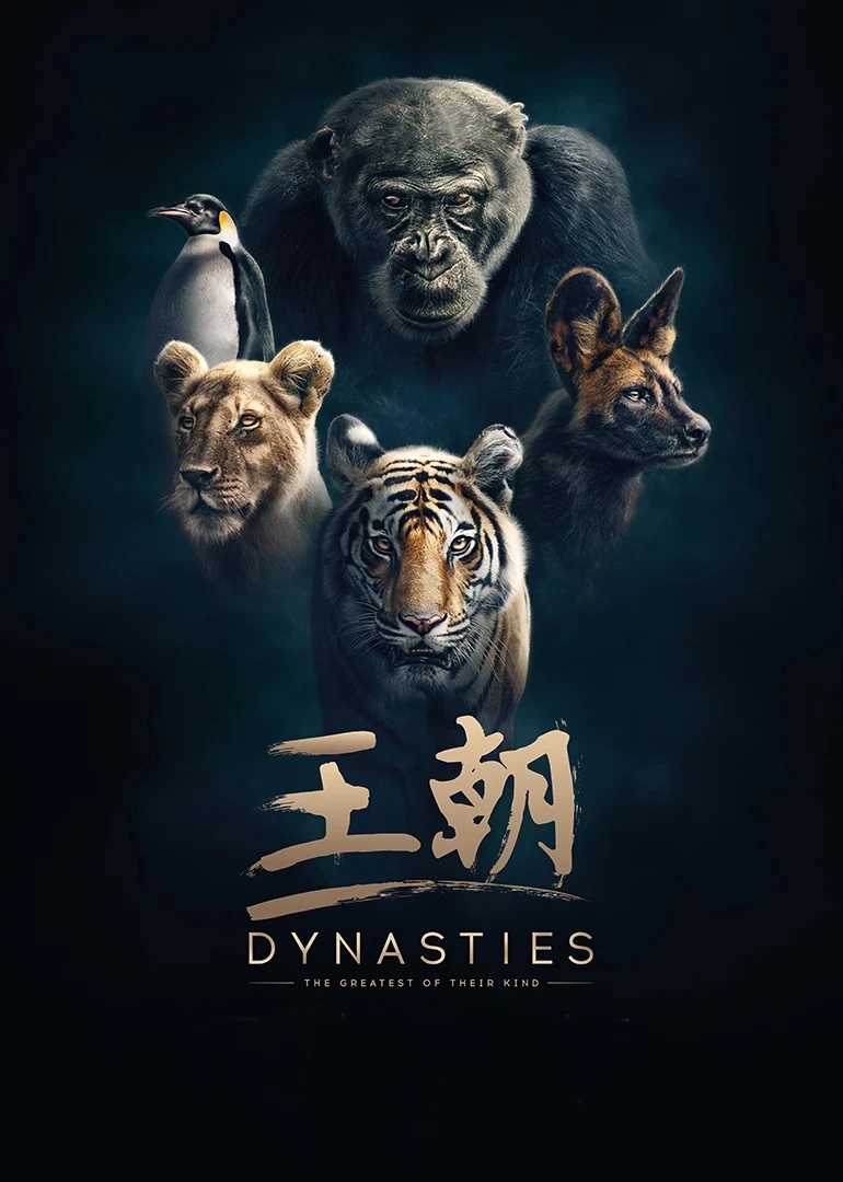 王朝英语(2018)海报