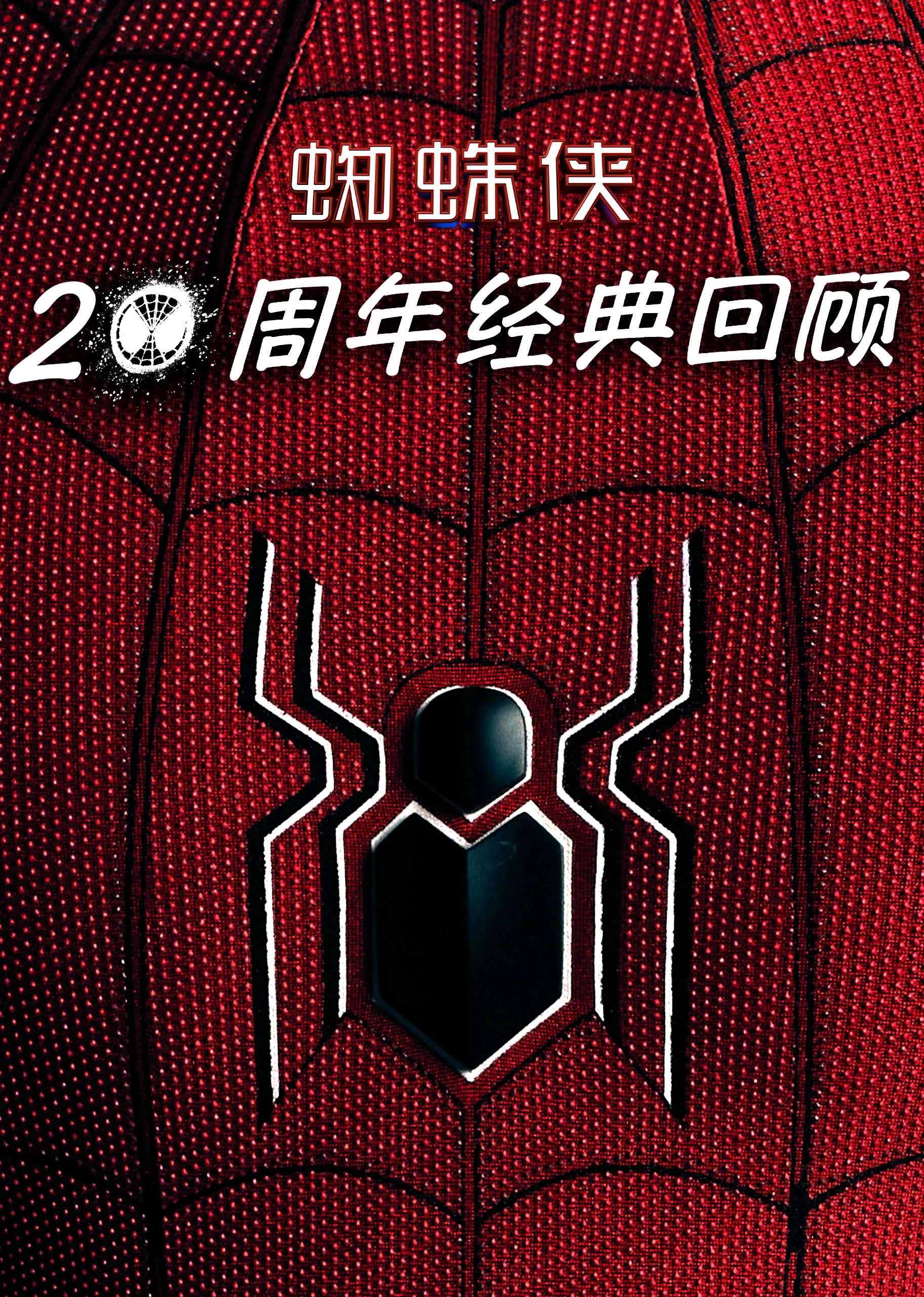 蜘蛛侠：20周年经典回顾(2022)海报