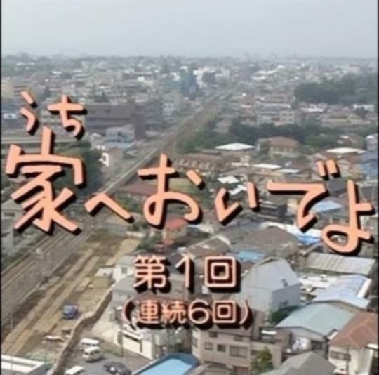 来家里啊(1996)海报