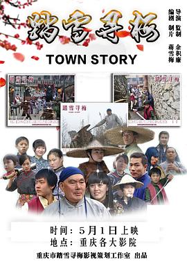 踏雪寻梅(2014)海报