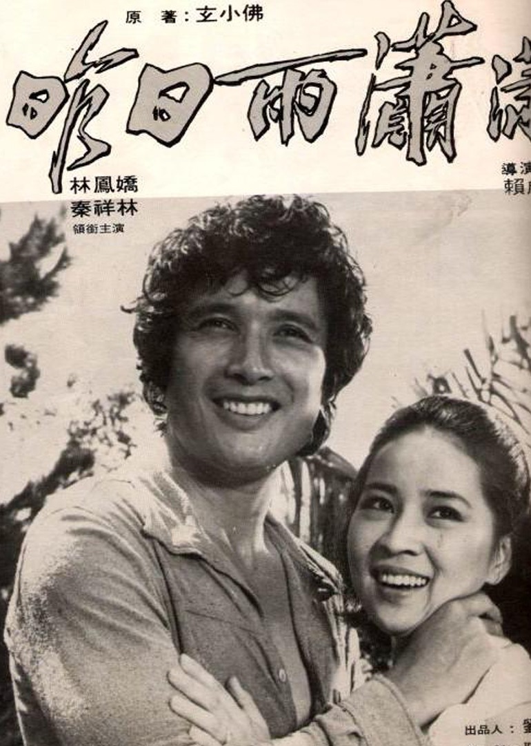 风雨情(1979)海报