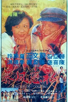 初恋风暴1978(1978)海报